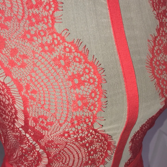 Lace eyelet body shaping dress - Picture 5 of 5